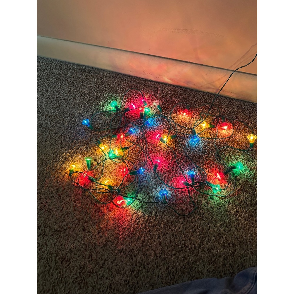 Vintage Multi Color Tulip Flower Christmas String Lights 5ft 4in Made in Taiwan